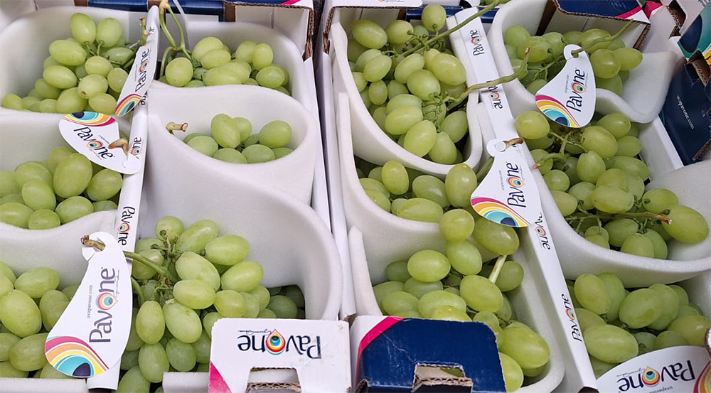 Uva da tavola Origine Sicilia prezzo 7 euro al chilo
